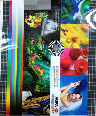 İyi bir fiyat. Paket Koruyucu Film PET Fotoğraflara Laminasyon Kirliliği Önler çevrimiçi